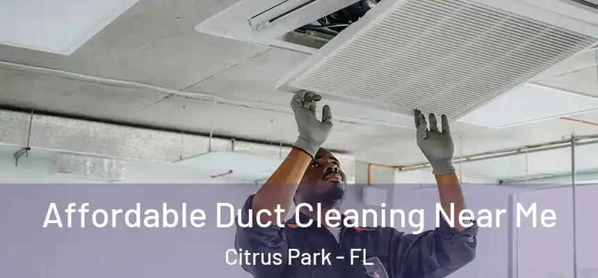 Affordable Duct Cleaning Near Me Citrus Park - FL