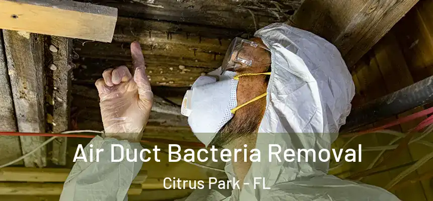 Air Duct Bacteria Removal Citrus Park - FL