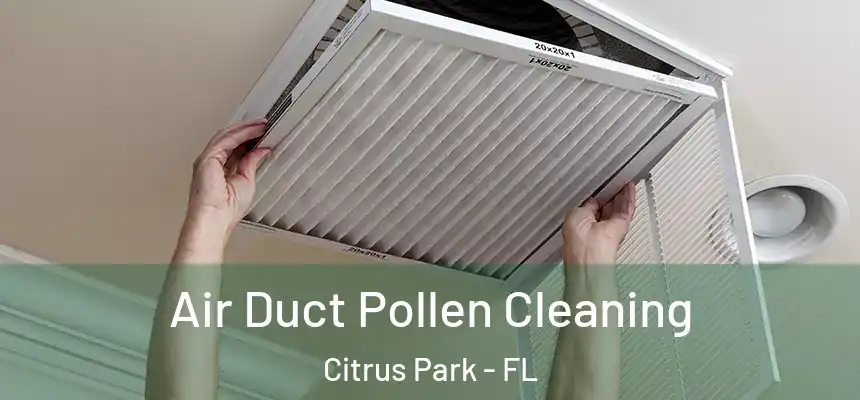 Air Duct Pollen Cleaning Citrus Park - FL