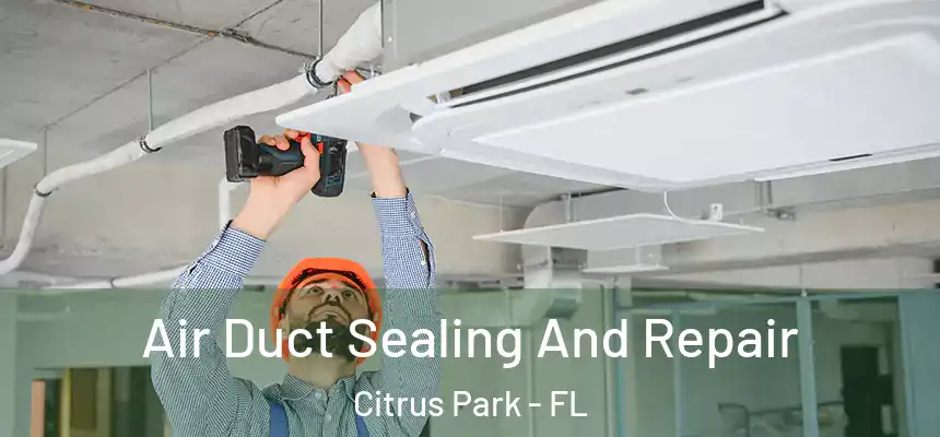 Air Duct Sealing And Repair Citrus Park - FL