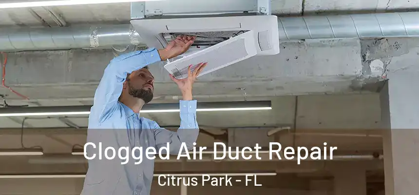 Clogged Air Duct Repair Citrus Park - FL