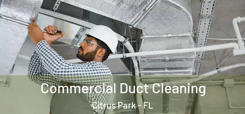 Commercial Duct Cleaning Citrus Park - FL