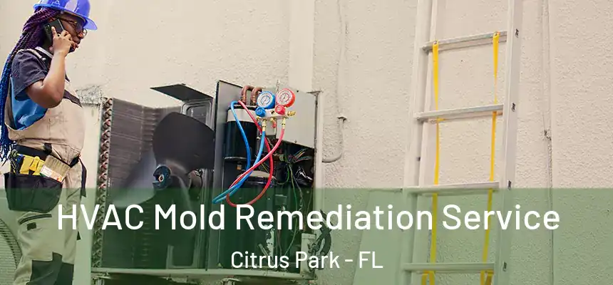 HVAC Mold Remediation Service Citrus Park - FL