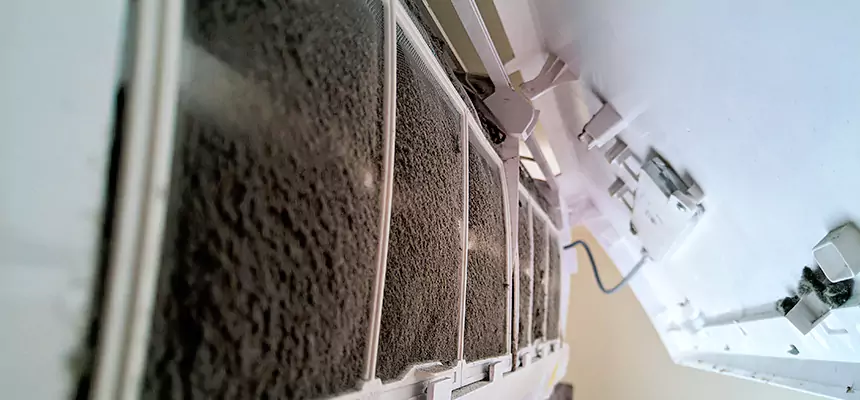 Preventive Air Duct Bacteria Removal in Citrus Park