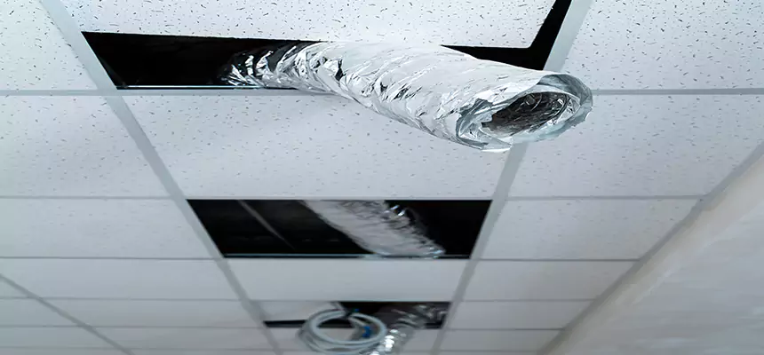 Affordable HVAC Sanitizing After Pest Removal in Citrus Park