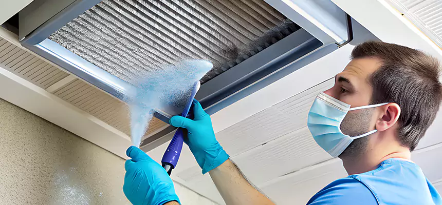 Proactive Dryer Vent & Auxiliary Duct Pollen Cleanup in Citrus Park, FL