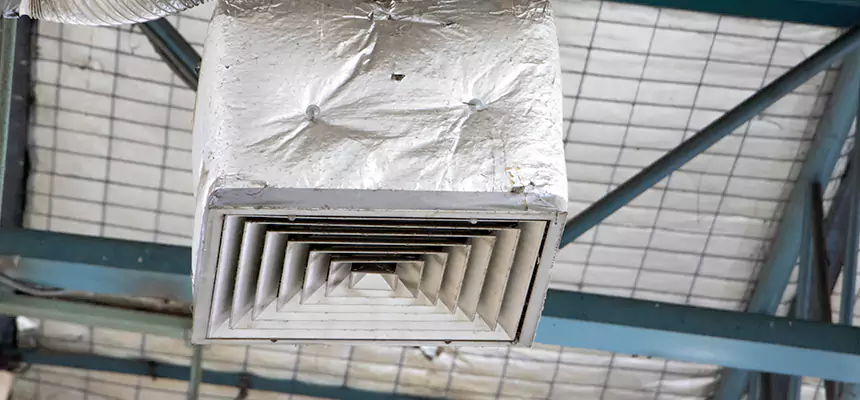 Our HVAC Mold Remediation Service Services in Citrus Park, FL