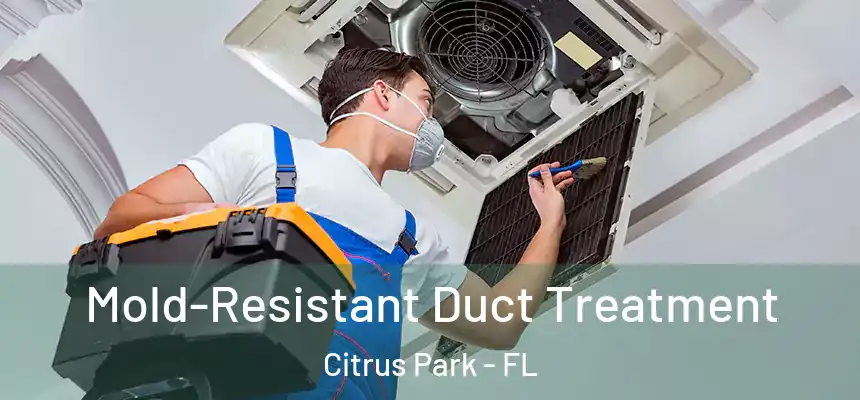 Mold-Resistant Duct Treatment Citrus Park - FL
