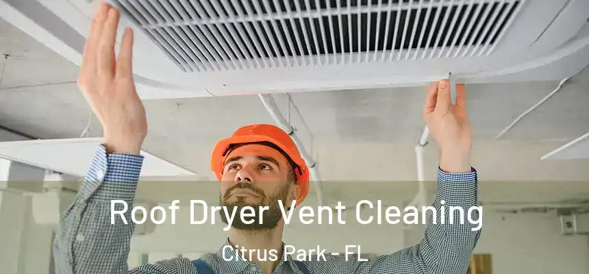 Roof Dryer Vent Cleaning Citrus Park - FL