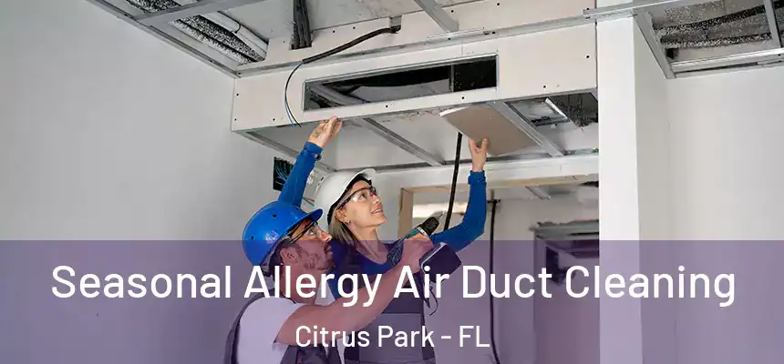 Seasonal Allergy Air Duct Cleaning Citrus Park - FL