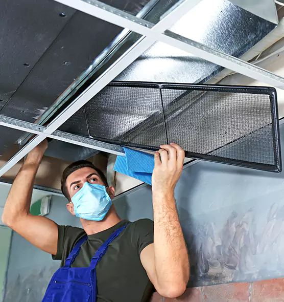 About Air Duct Bacteria Removal in Citrus Park