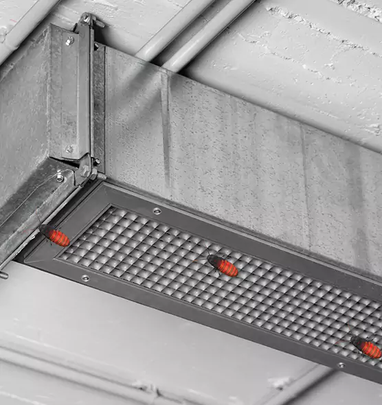 About Air Duct Cockroach Removal in Citrus Park, FL