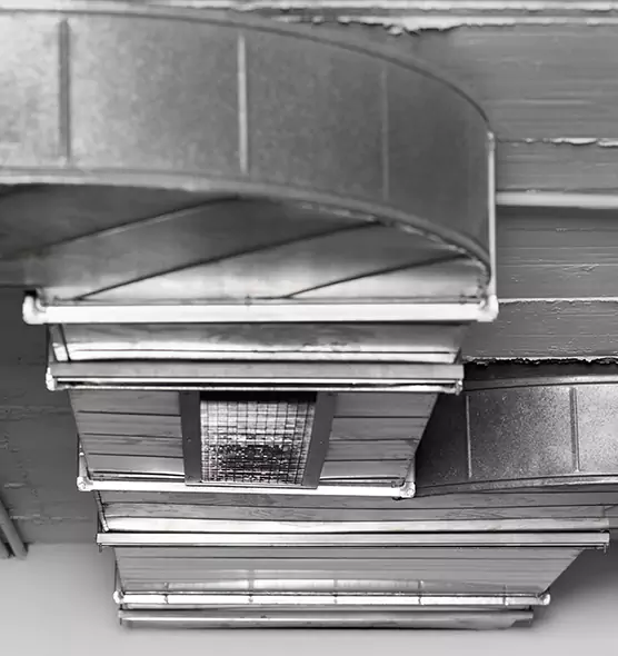 Professional Air Duct Pet Hair Removal in Citrus Park, FL