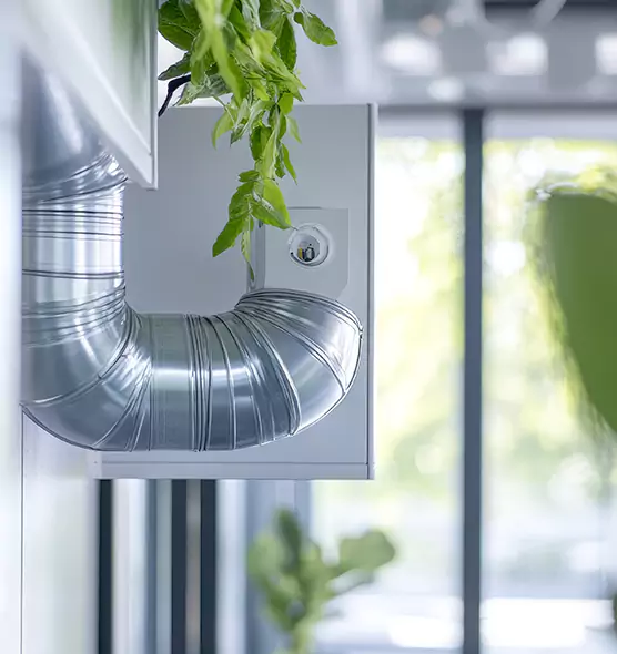Professional Eco-Friendly Duct Cleaning Services in Citrus Park, FL