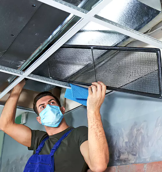 Professional Home Ventilation Cleaning in Citrus Park, FL