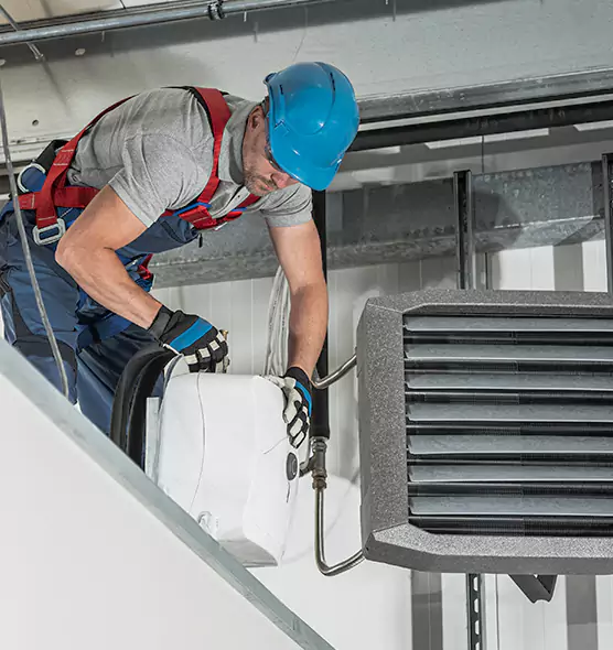 About HVAC Mold Remediation Service in Citrus Park, FL