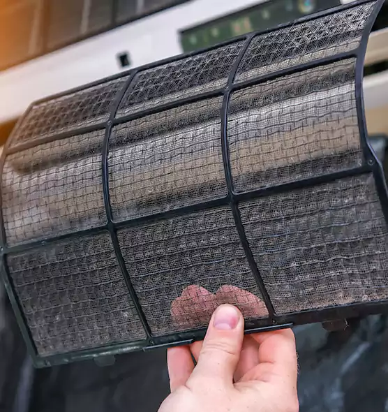 About Pet Dander Duct Cleaning in Citrus Park, FL