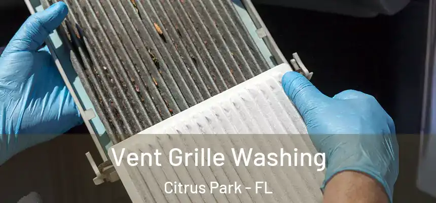 Vent Grille Washing Citrus Park - FL
